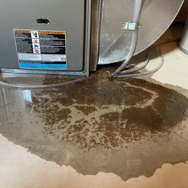 Appliance Leak Cleanup in Lima, PA